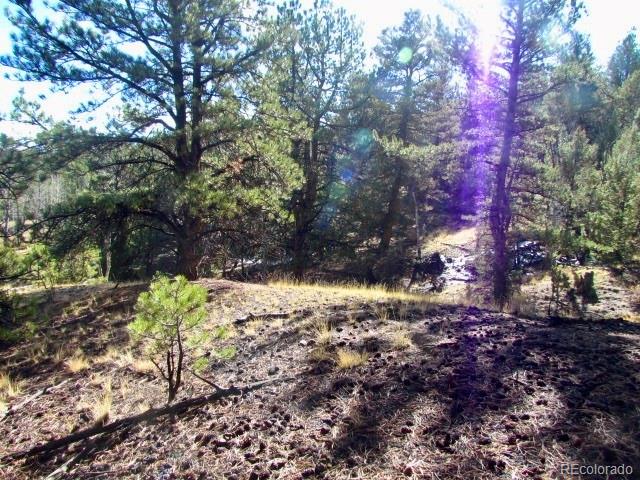 Cherokee Trail Hartsel, CO 80449 - Photo 17 of 28