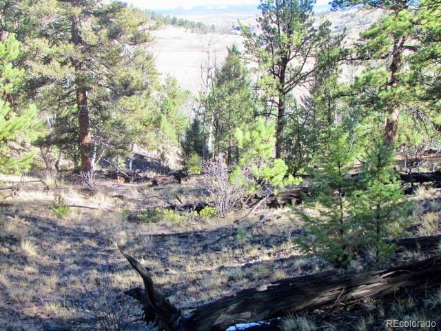 Cherokee Trail Hartsel, CO 80449 - Photo 18 of 28 a view of a garden with plants and trees