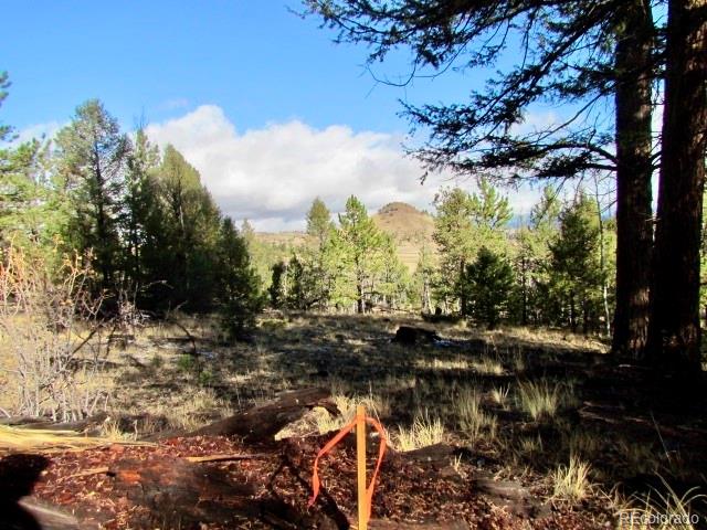 Cherokee Trail Hartsel, CO 80449 - Photo 19 of 28