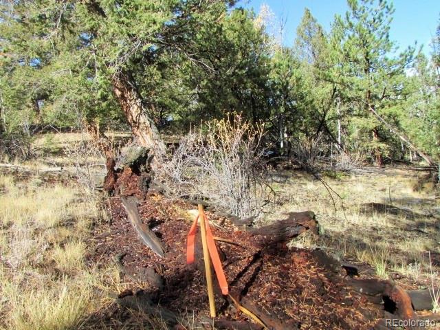 Cherokee Trail Hartsel, CO 80449 - Photo 20 of 28 a view of a yard with plants and trees
