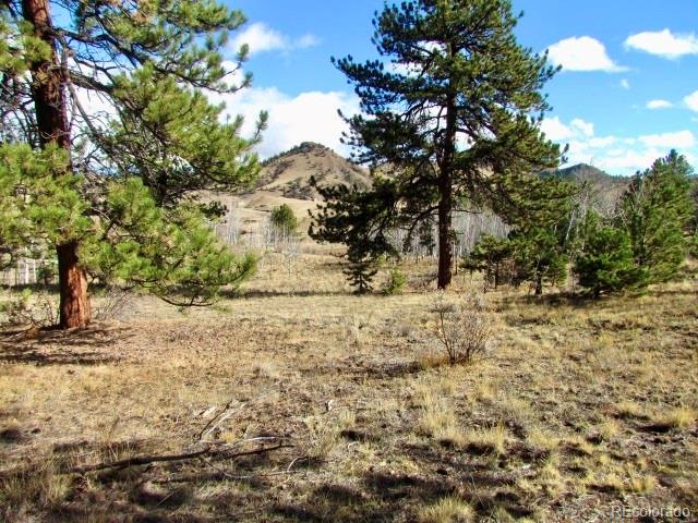 Cherokee Trail Hartsel, CO 80449 - Photo 2 of 28 a view of dirt yard