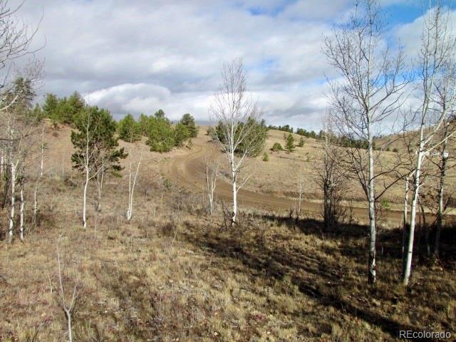 Cherokee Trail Hartsel, CO 80449 - Photo 21 of 28 a view of a yard