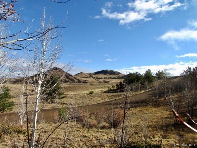 Cherokee Trail Hartsel, CO 80449 - Photo 22 of 28 a view of a yard with wooden fence