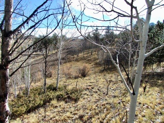 Cherokee Trail Hartsel, CO 80449 - Photo 23 of 28 a backyard of a house with large trees and covered with snow