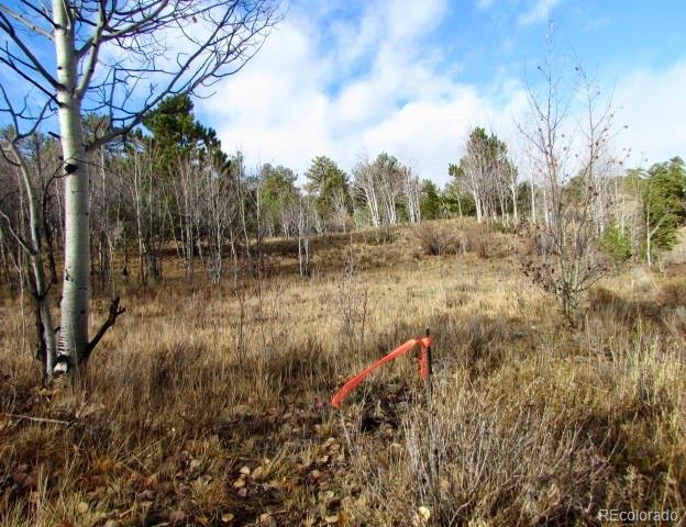 Cherokee Trail Hartsel, CO 80449 - Photo 24 of 28 a view of a yard with large trees