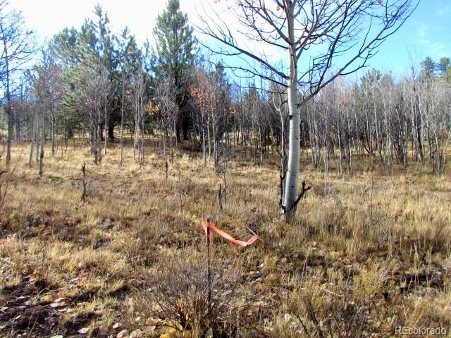 Cherokee Trail Hartsel, CO 80449 - Photo 25 of 28 a backyard of a house with lots of green space and fog