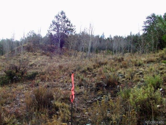 Cherokee Trail Hartsel, CO 80449 - Photo 26 of 28 a front view of a house with a yard and tree