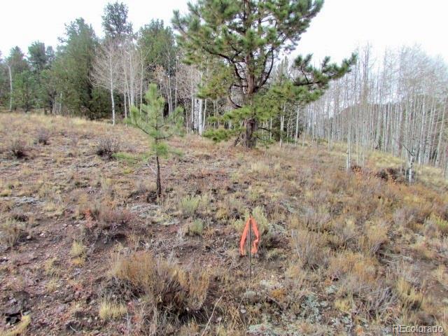 Cherokee Trail Hartsel, CO 80449 - Photo 27 of 28 a view of a yard with trees