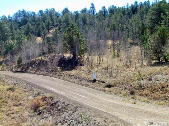 Cherokee Trail Hartsel, CO 80449 - Photo 5 of 28 a view of a yard with a tree