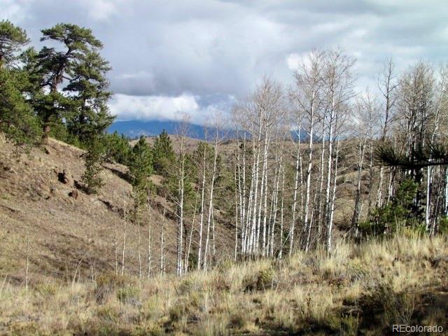 Cherokee Trail Hartsel, CO 80449 - Photo 6 of 28 a view of a yard with plants and trees