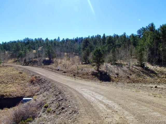Cherokee Trail Hartsel, CO 80449 - Photo 7 of 28 a view of outdoor space with green field and trees