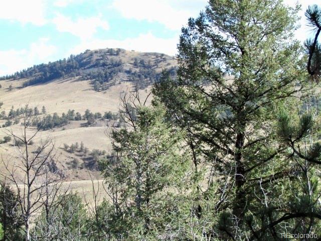 Cherokee Trail Hartsel, CO 80449 - Photo 8 of 28 a view of lake with mountain in the background
