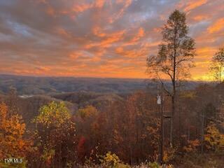 3388 Short Mountain Road Sneedville, TN 37869 - Photo 3 of 61 IMG_7204