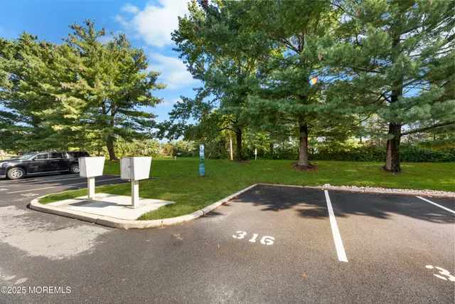 a view of a park with tree s