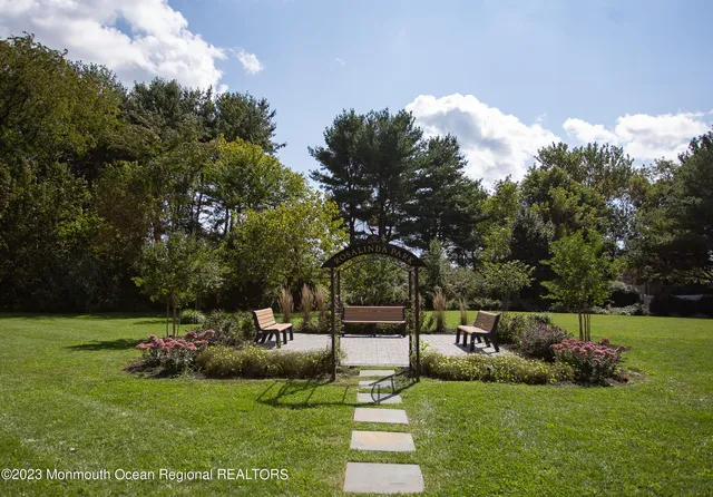 a view of a park with large trees