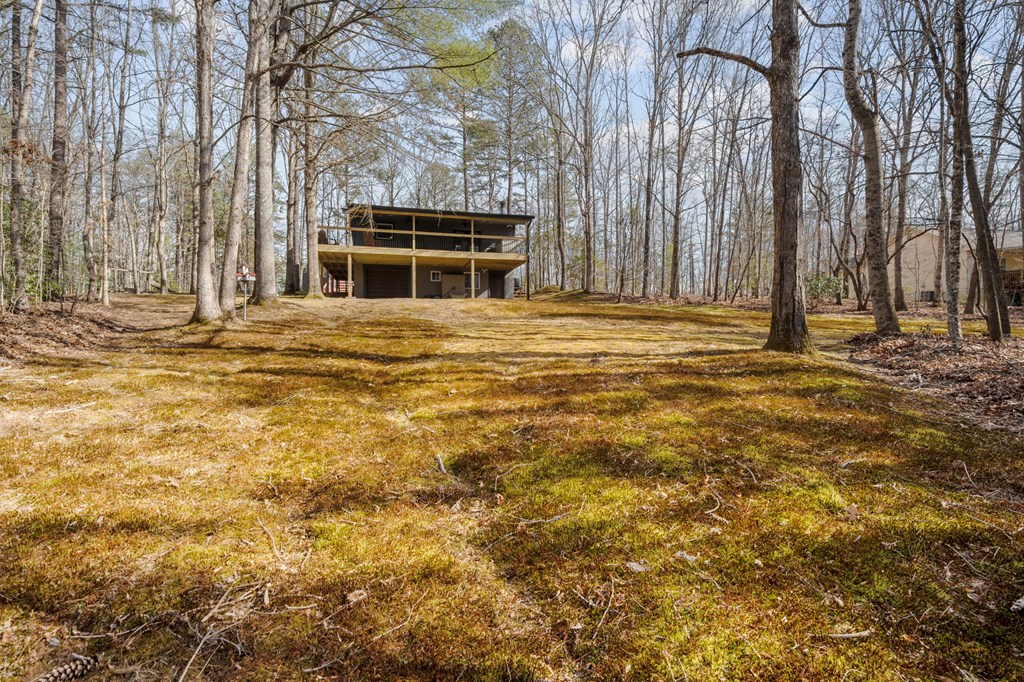 305 Lofty Heights Road Mineral Bluff, GA 30559 - Photo 29 of 32 Gallery Image 29