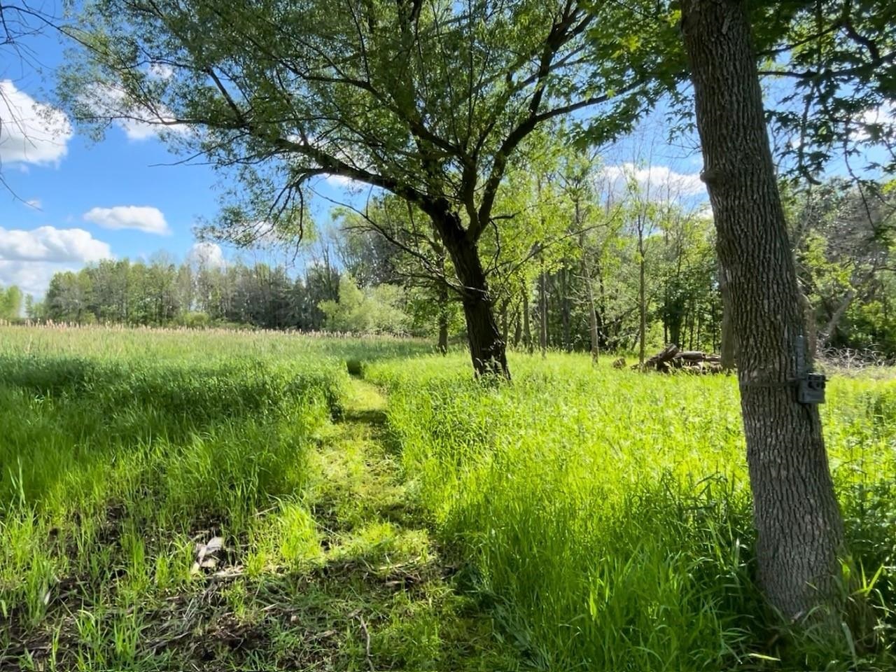 County Road, Unit 2 Winneconne, WI 54986 - Photo 1 of 10