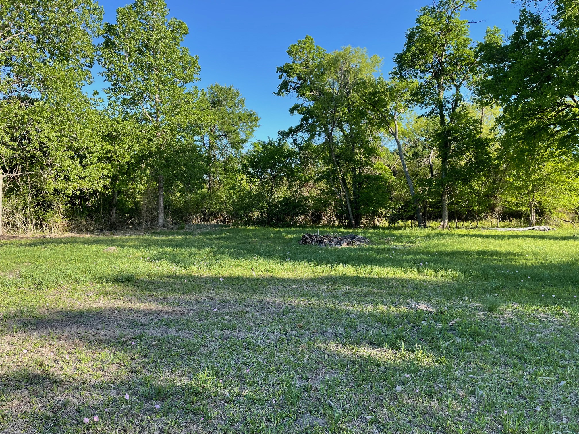 271 Ridgeline Road Leander, TX 78641 - Photo 19 of 20 a view of a park with large trees