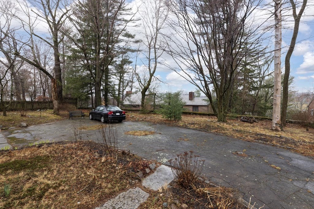 37 Wolcott Road Brookline, MA 02467 - Photo 12 of 12 a view of a yard with a tree on the side