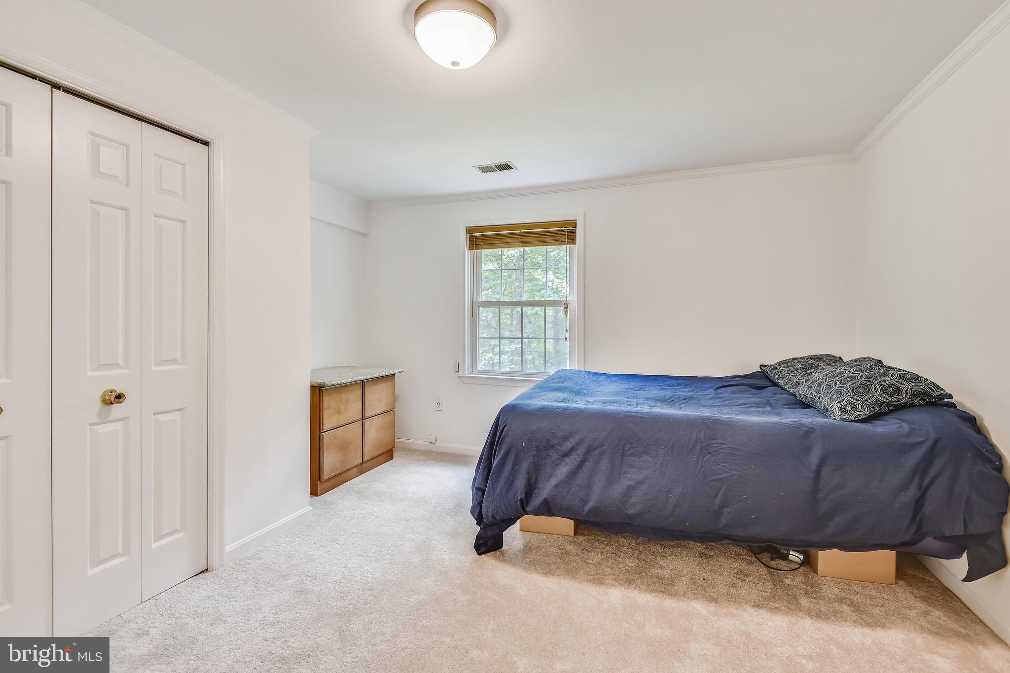 2006 Roundhouse Road Vienna, VA 22181 - Photo 32 of 47 Lower level bedroom