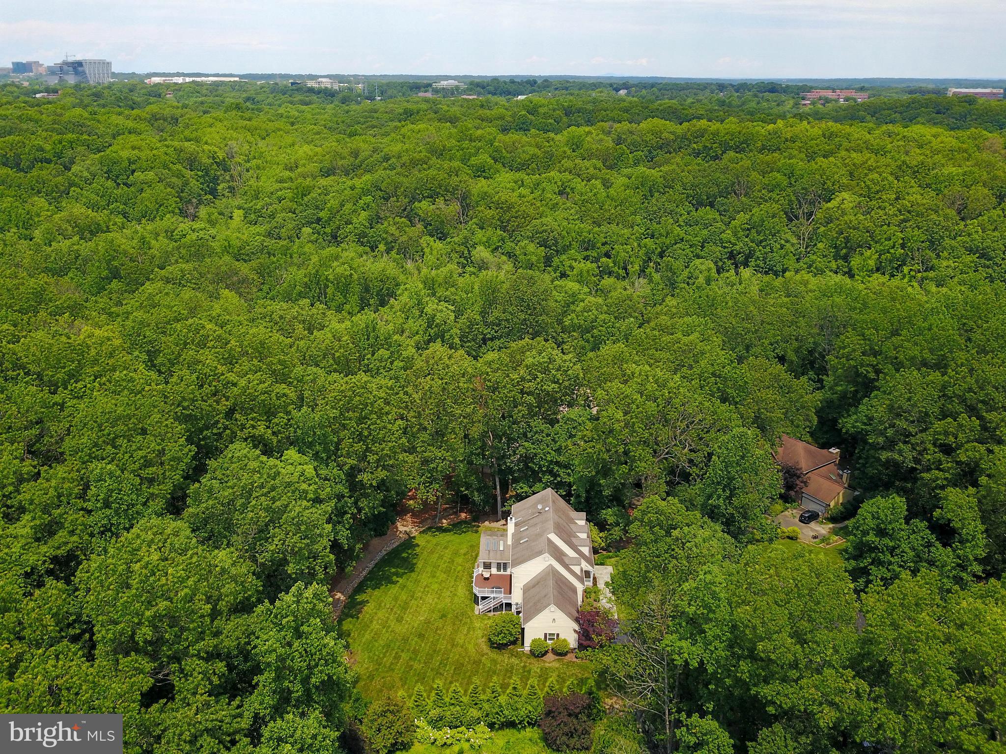 2006 Roundhouse Road Vienna, VA 22181 - Photo 41 of 47 Hiking trails in your own 1.87 acres!