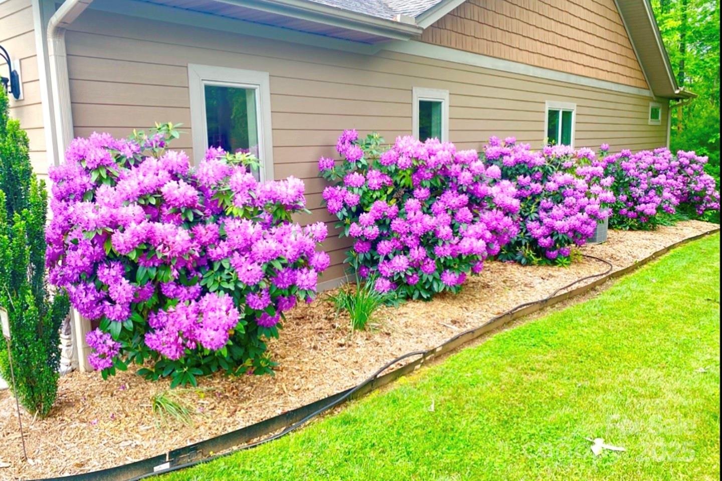 178 Sapphire Place Clyde, NC 28721 - Photo 4 of 48