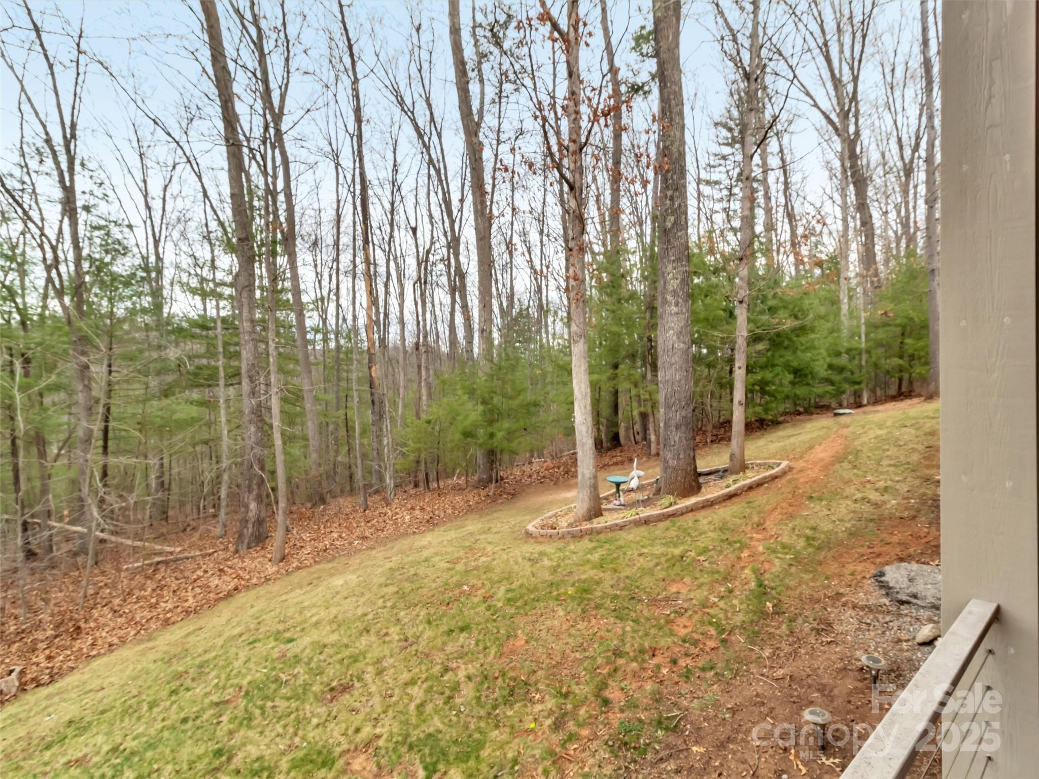 178 Sapphire Place Clyde, NC 28721 - Photo 43 of 48