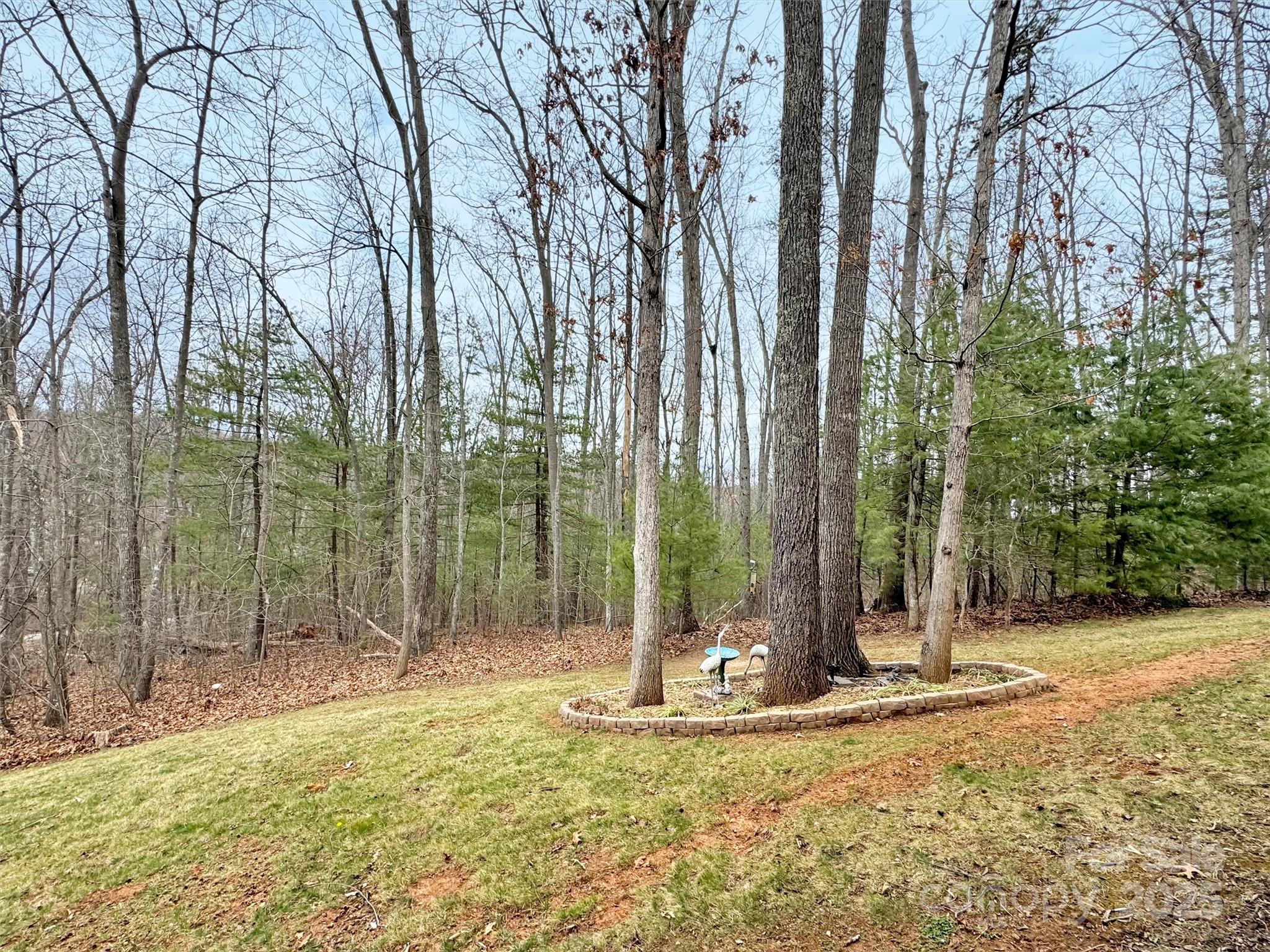 178 Sapphire Place Clyde, NC 28721 - Photo 44 of 48