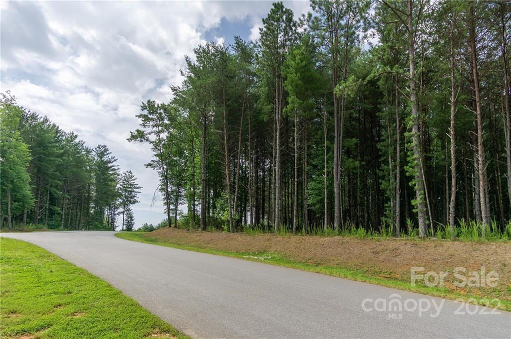 2264 Ivy Rays Way, Unit 36 Nebo, NC 28761 - Photo 2 of 10 Gallery Image 2