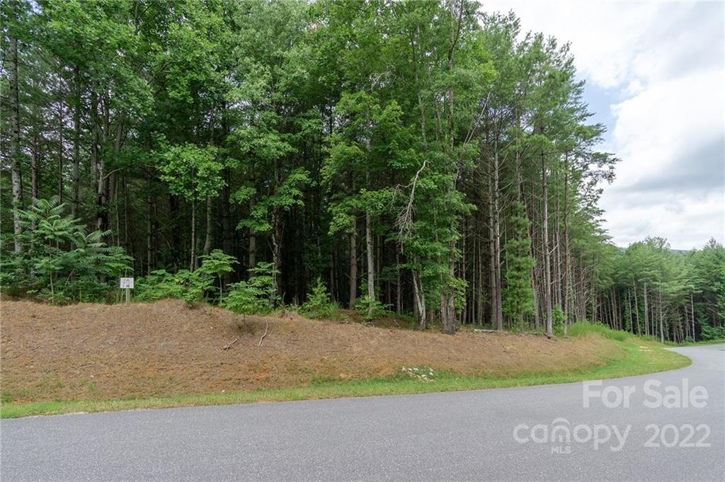 2264 Ivy Rays Way, Unit 36 Nebo, NC 28761 - Photo 3 of 10 Gallery Image 3