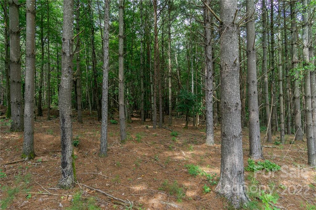 2264 Ivy Rays Way, Unit 36 Nebo, NC 28761 - Photo 4 of 10 Gallery Image 4