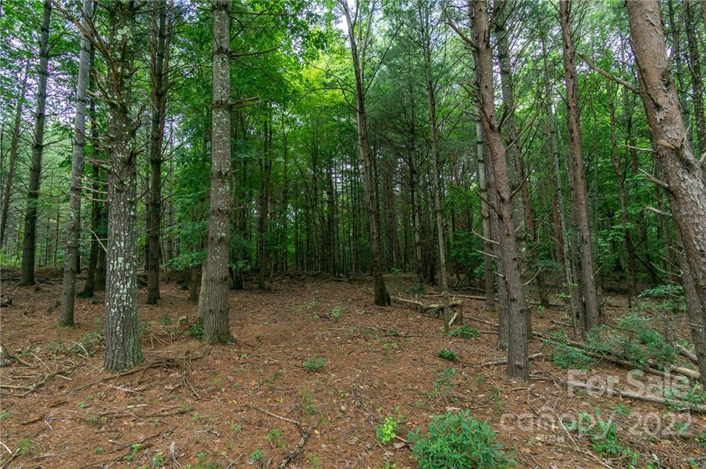 2264 Ivy Rays Way, Unit 36 Nebo, NC 28761 - Photo 5 of 10 Gallery Image 5