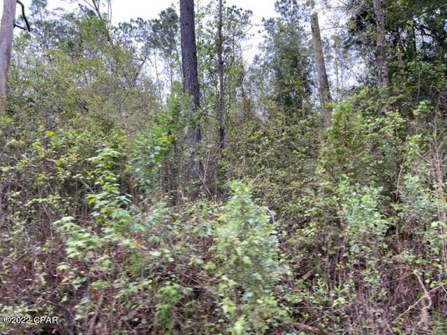 0 Gilberts Mill Road Cottondale, FL 32431 - Photo 2 of 10 Gallery Image 2