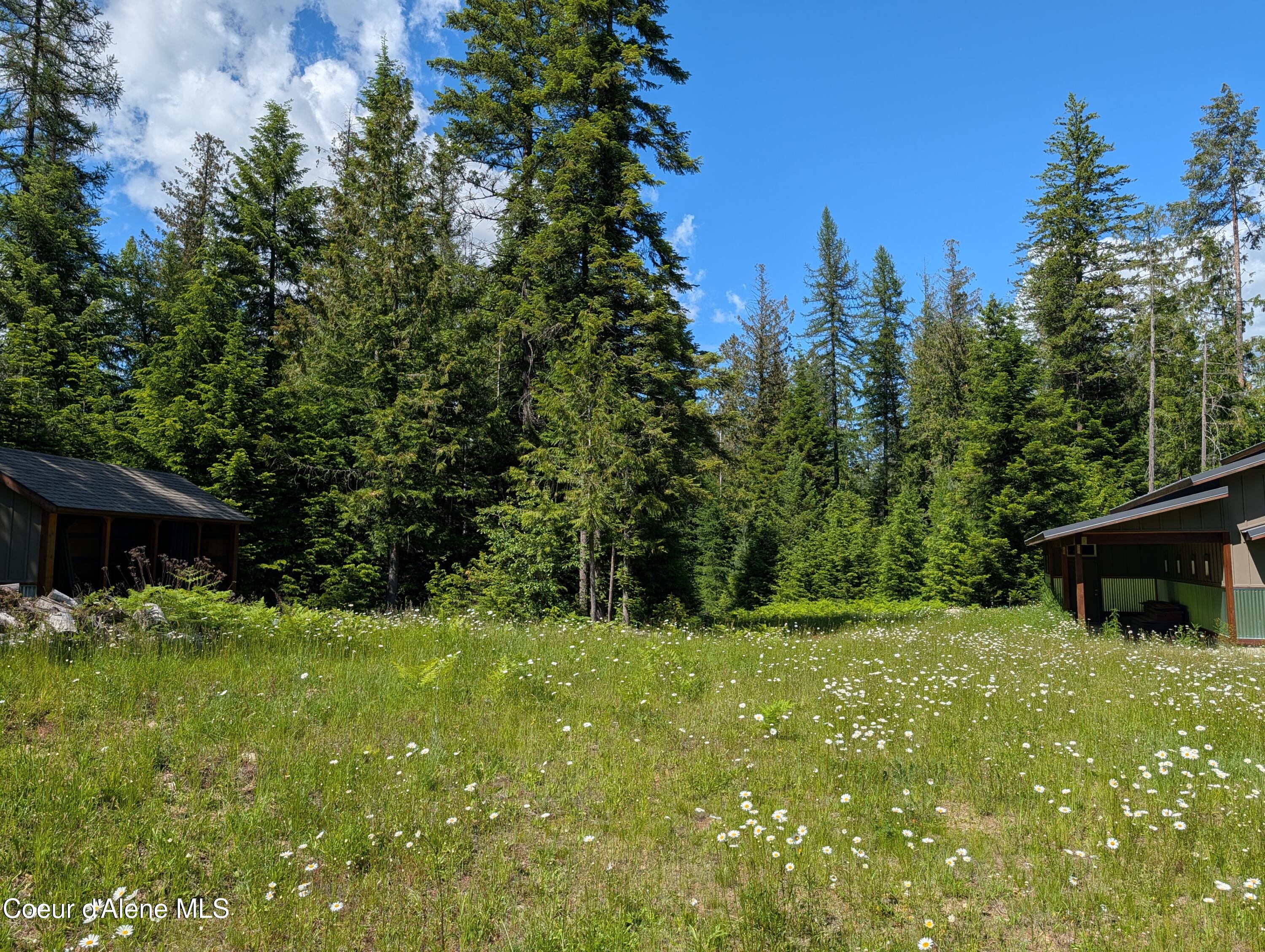 1193 Hidden Valley Road Sandpoint, ID 83864 - Photo 4 of 20 PXL_20260613_214600059