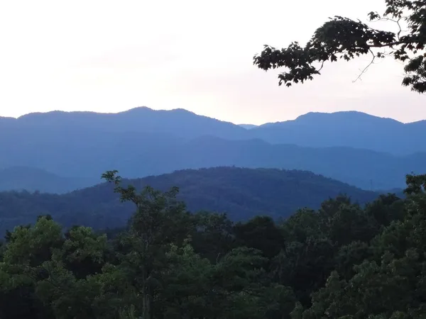 $80,000 | 247 Rice Lane, Marble, NC 28905