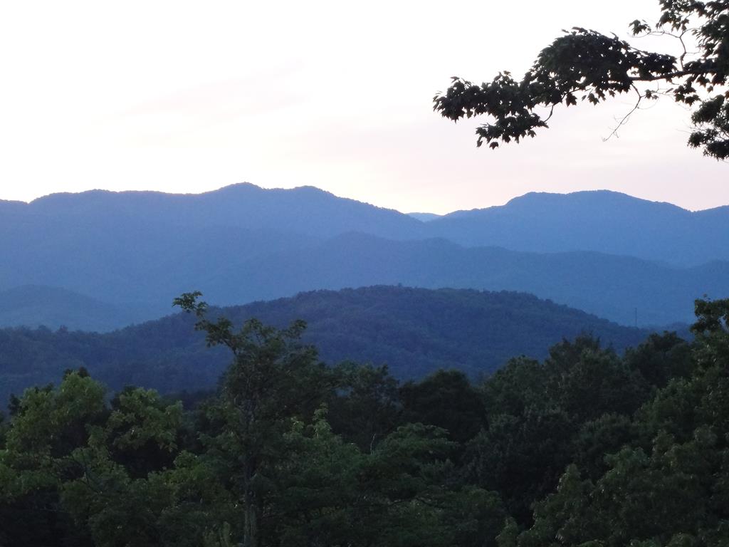 a view of a lush green hillside and a building in the background