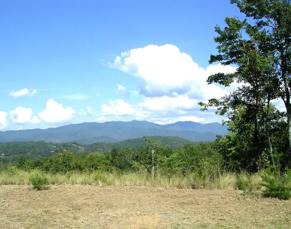 $80,000 | 247 Rice Lane, Marble, NC 28905