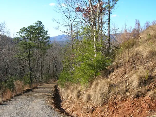 $80,000 | 247 Rice Lane, Marble, NC 28905