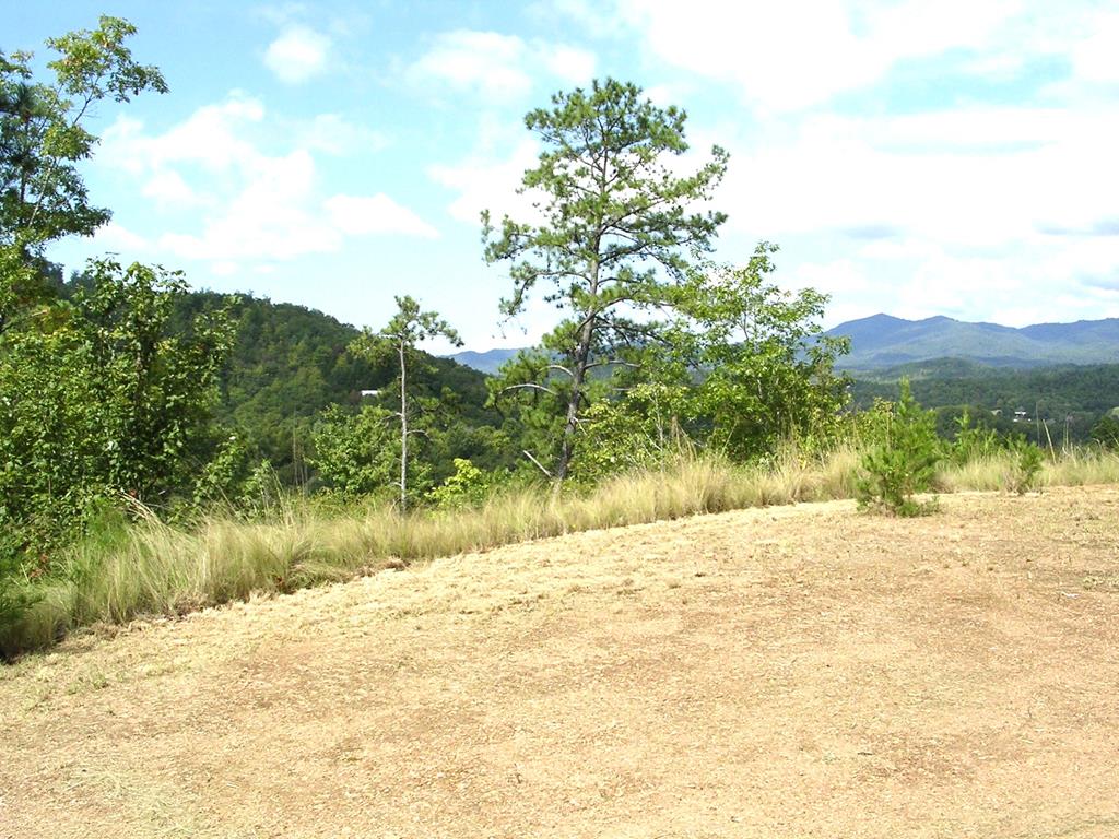 247 Rice Lane Marble, NC 28905 - Photo 8 of 12 a view of lake view and mountain view