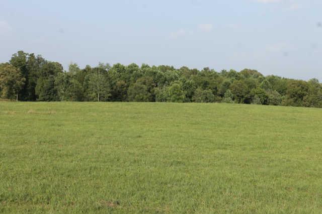 3 Chapel Hill Road Clarksville, TN 37040 - Photo 2 of 2 Gallery Image 2