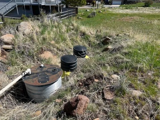 a view of a backyard with plants and water fountain