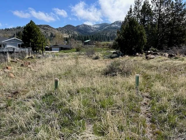 a view of a town with large trees