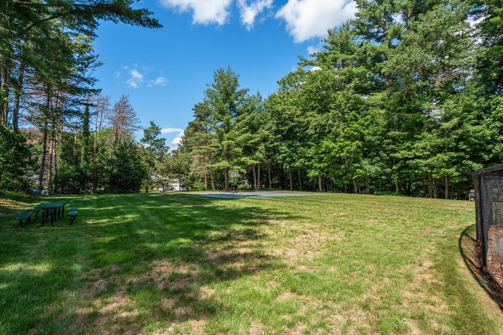 209 Great Road, Unit C2 Acton, MA 01720 - Photo 17 of 21 Gallery Image 17
