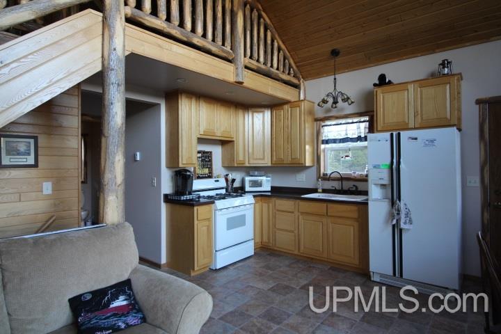 4597 West Oakwood Road Daggett, MI 49821 - Photo 3 of 23 Gallery Image 3