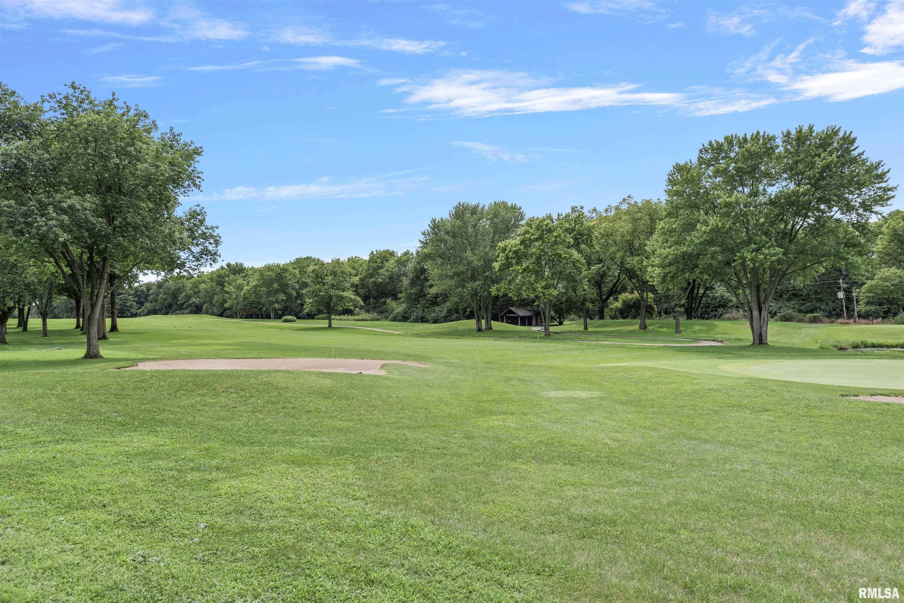 20 Hickory Ridge Lane Springfield, IL 62707 - Photo 60 of 62