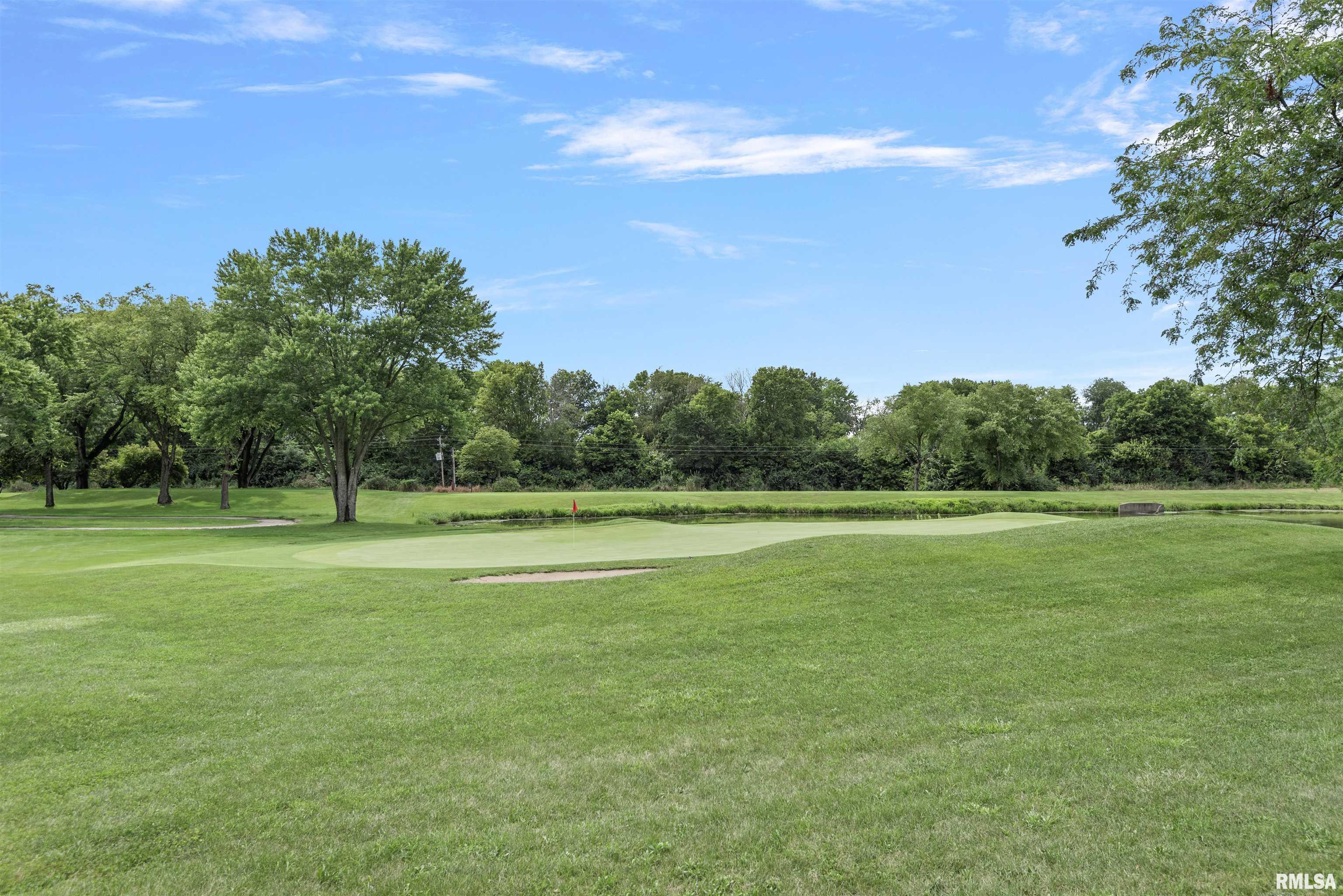 20 Hickory Ridge Lane Springfield, IL 62707 - Photo 61 of 62