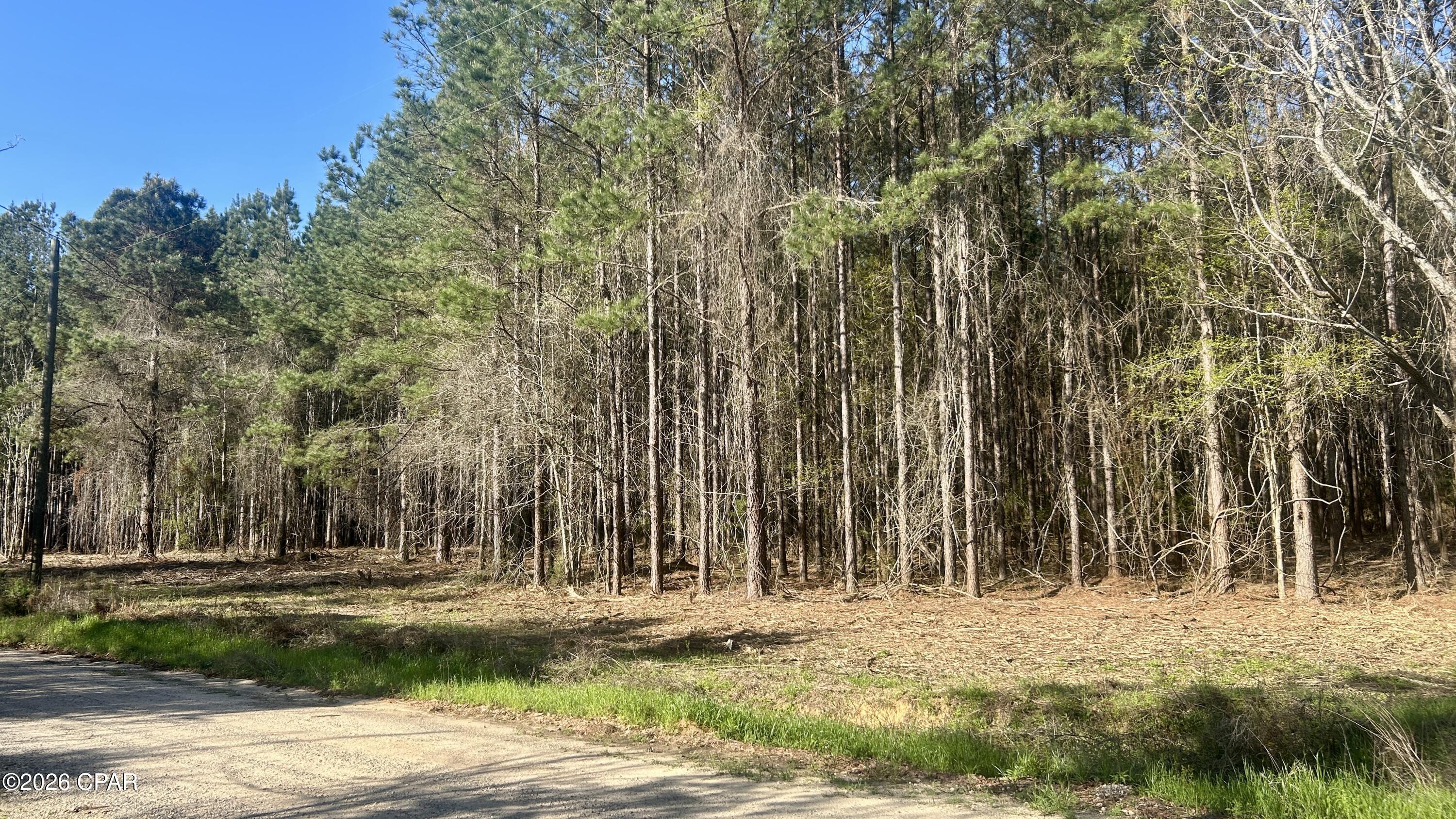 K Grimes Road Laurel Hill, FL 32567 - Photo 3 of 20 Gallery Image 3