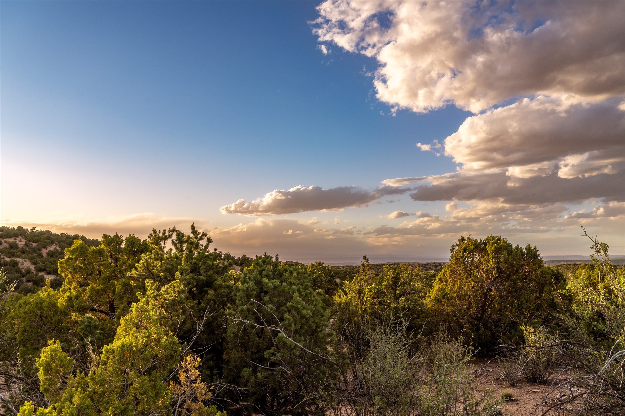97 San Rafael Drive, Unit LOT 5 Santa Fe, NM 87506 - Photo 9 of 12