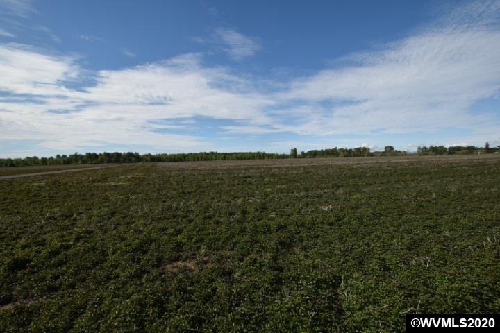 8568 Stayton (- 8588) Road Turner, OR 97392 - Photo 15 of 16 Gallery Image 15