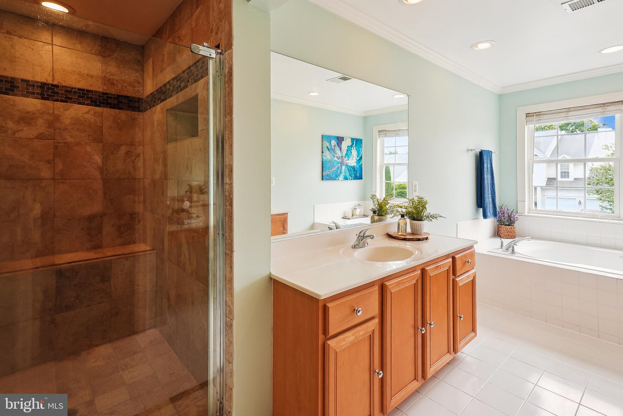 17128 Magic Mountain Drive Round Hill, VA 20141 - Photo 26 of 53 Spa-Like shower with rain shower head